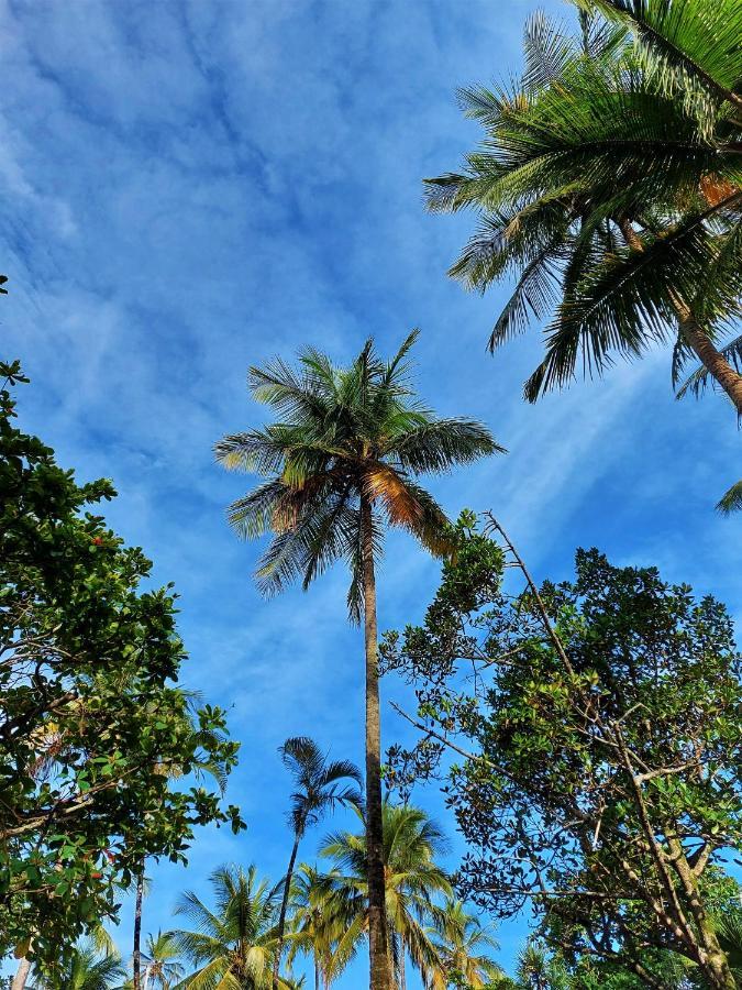 Apto Pe Na Areia Praia Das Pitangueiras - Centro Guaruja Ngoại thất bức ảnh